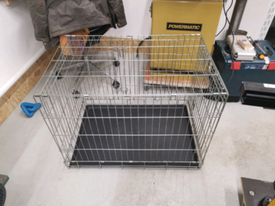 large dog crate gumtree